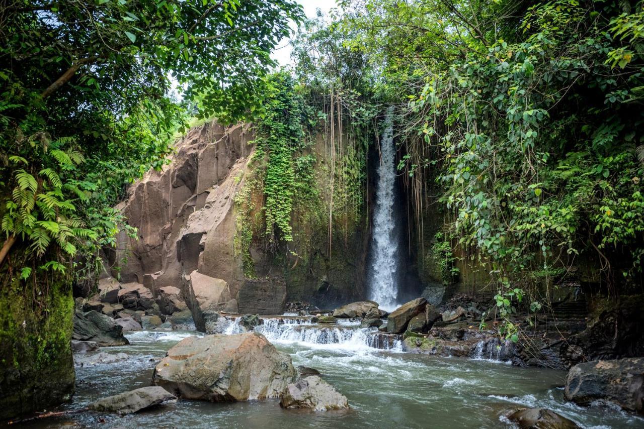 Liam Private Villa Ubud Zewnętrze zdjęcie